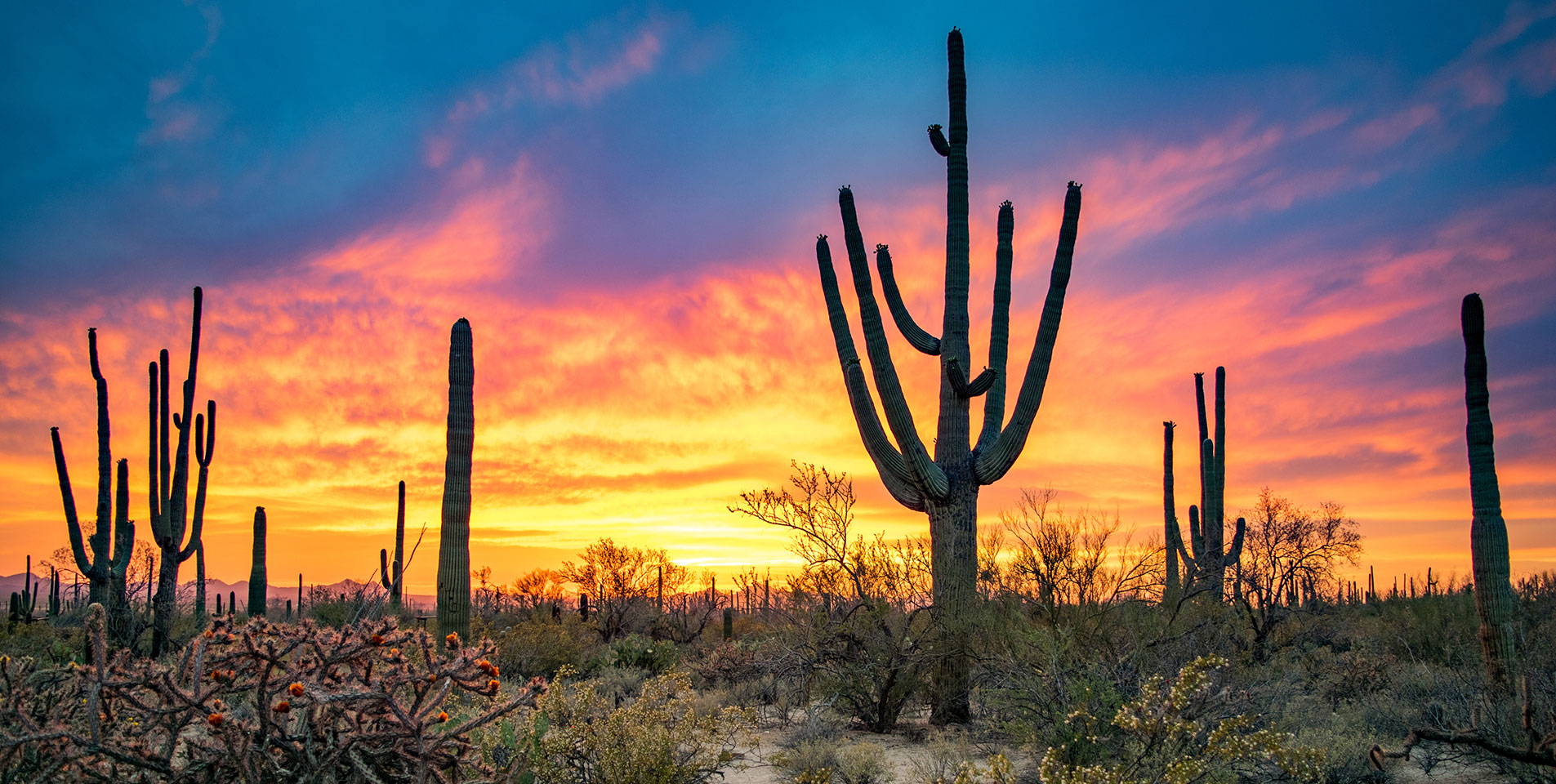 Arizona's sunny disposition includes over 300 days of sunshine in Scottsdale.