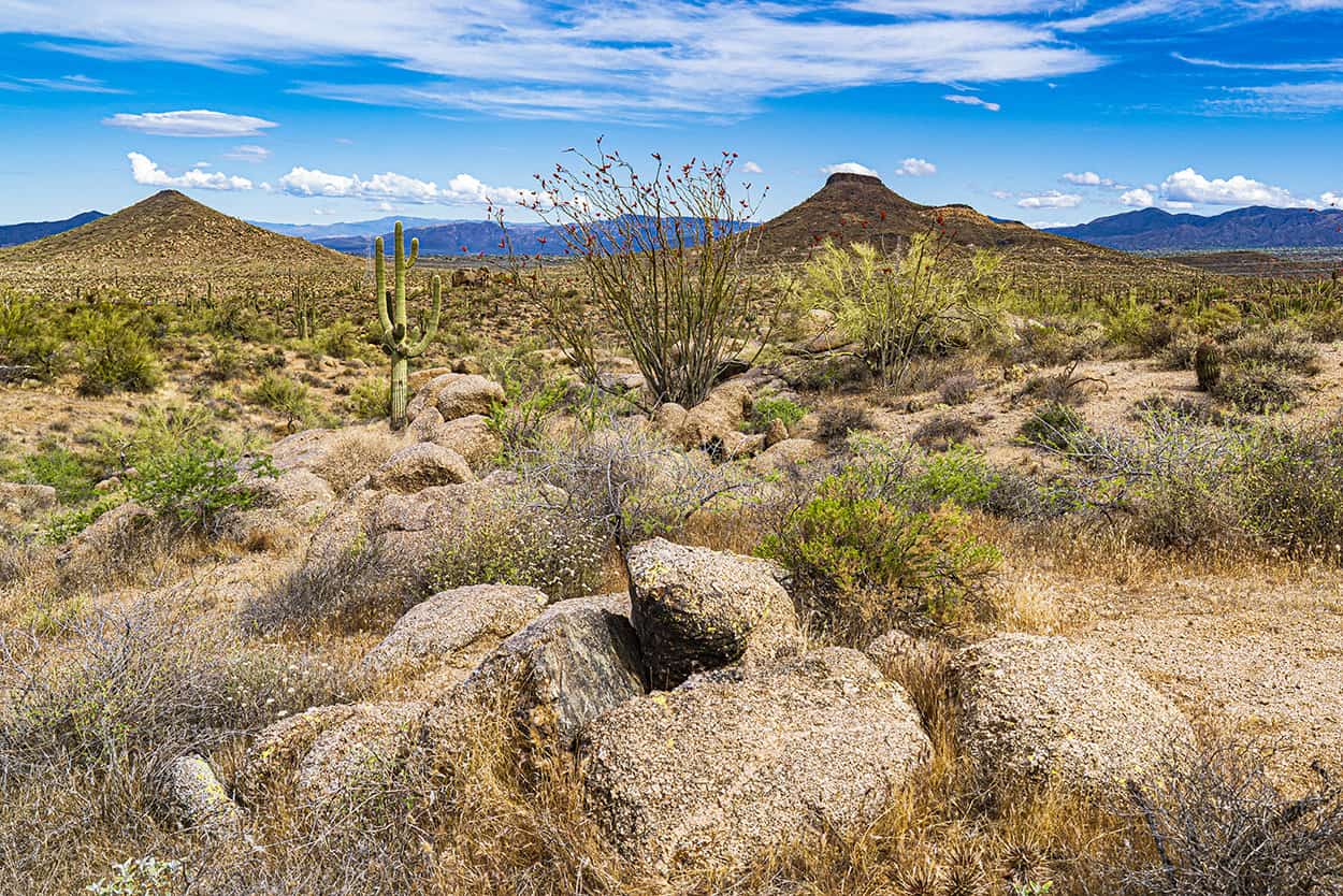 Experience the thrill and challenge of Scottsdale's desert trails, with safety always in mind.