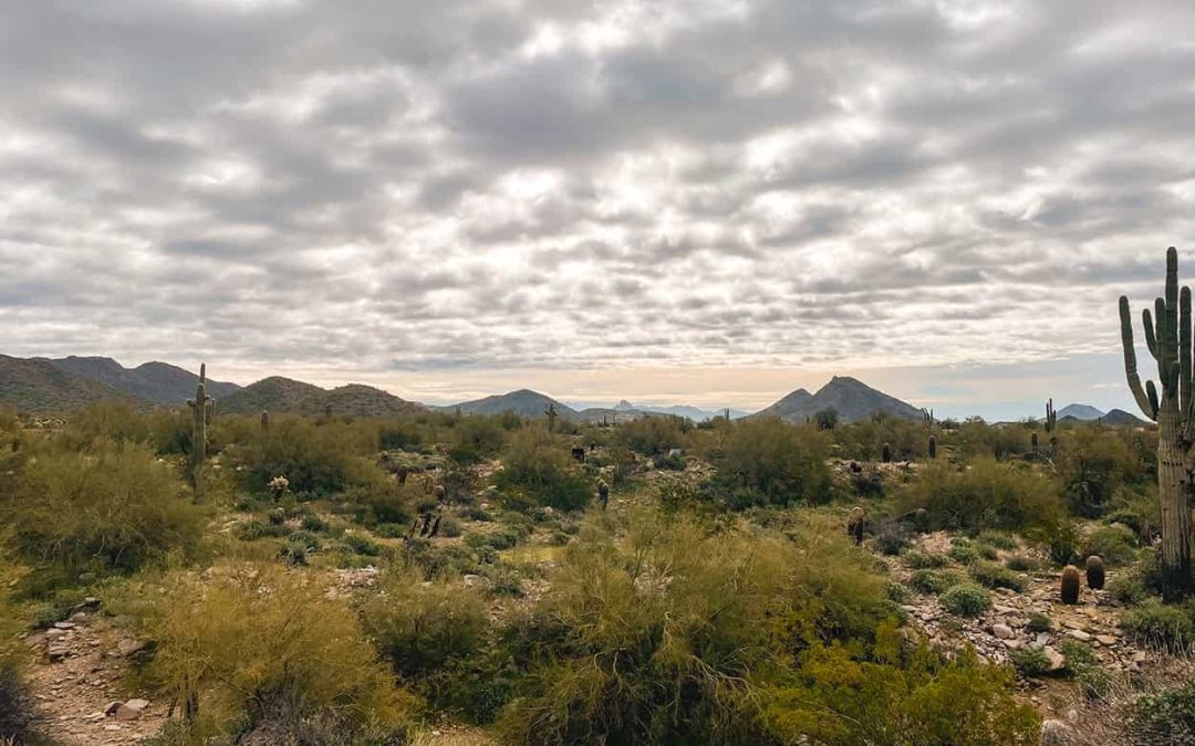 Scottsdale Hiking 101: What You Need to Know Before Hitting the Trails