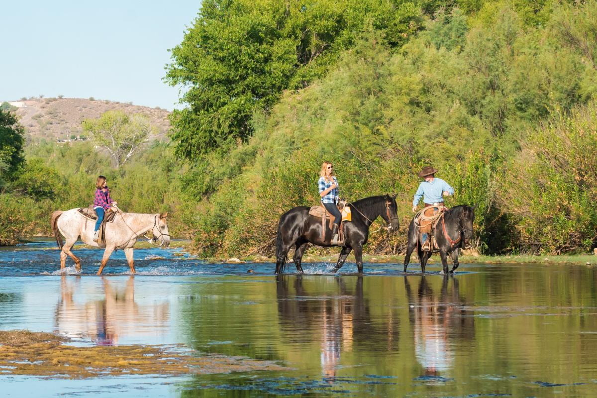 Riding through the Sonoran expanses on horseback.