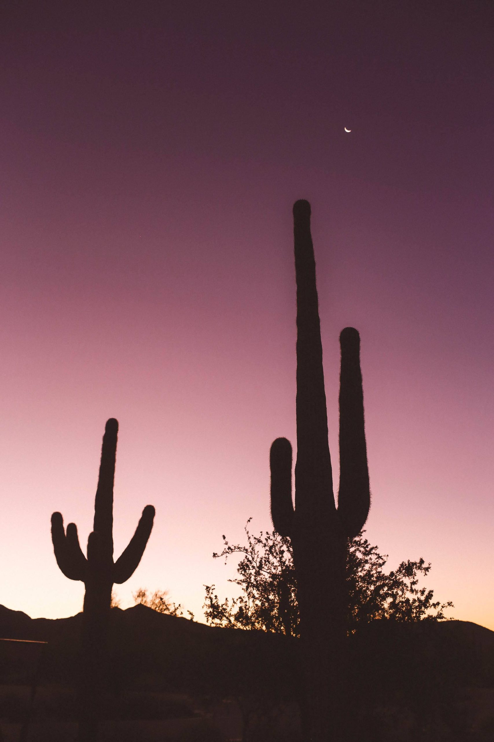 Experience the desert landscape and charm of Scottsdale, the heart of your next getaway.