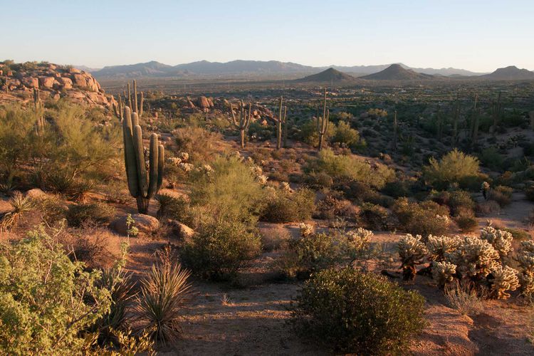 Pinnacle Peak: A glimpse into Scottsdale's mesmerizing desert landscapes and hiking opportunities.