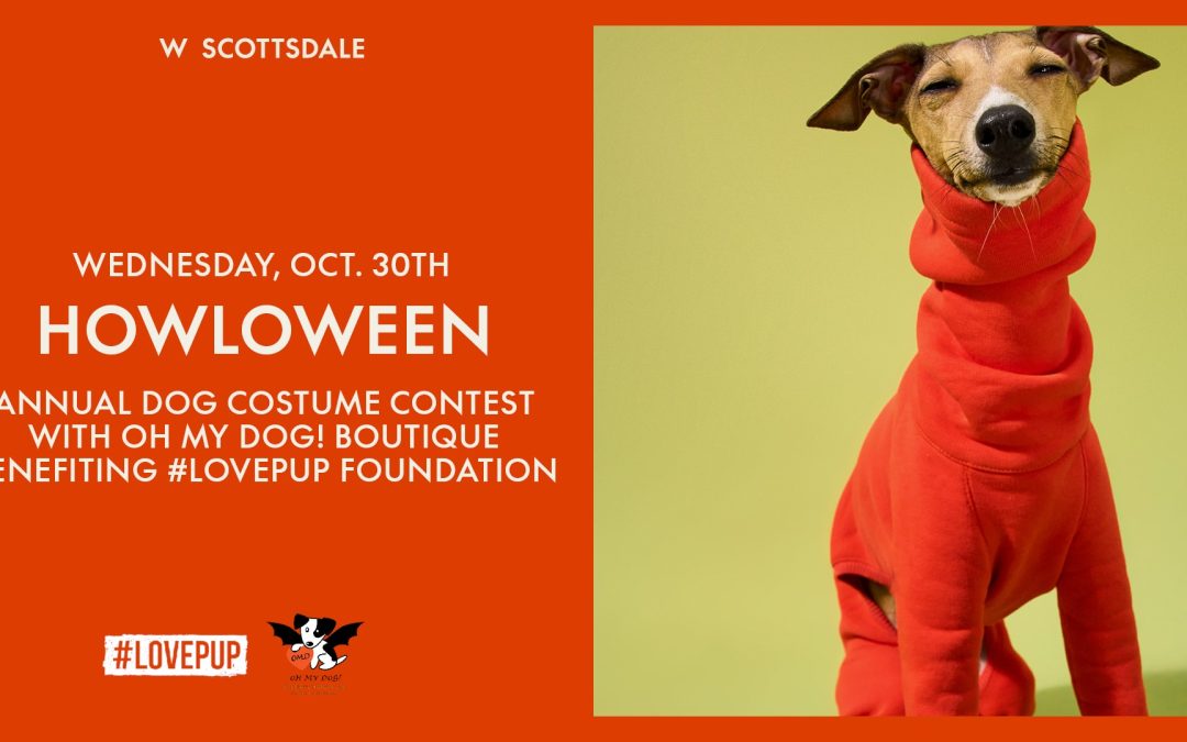 W Scottsdale’s Howl-O-Ween: A Festive Celebration for Pets and Their Humans